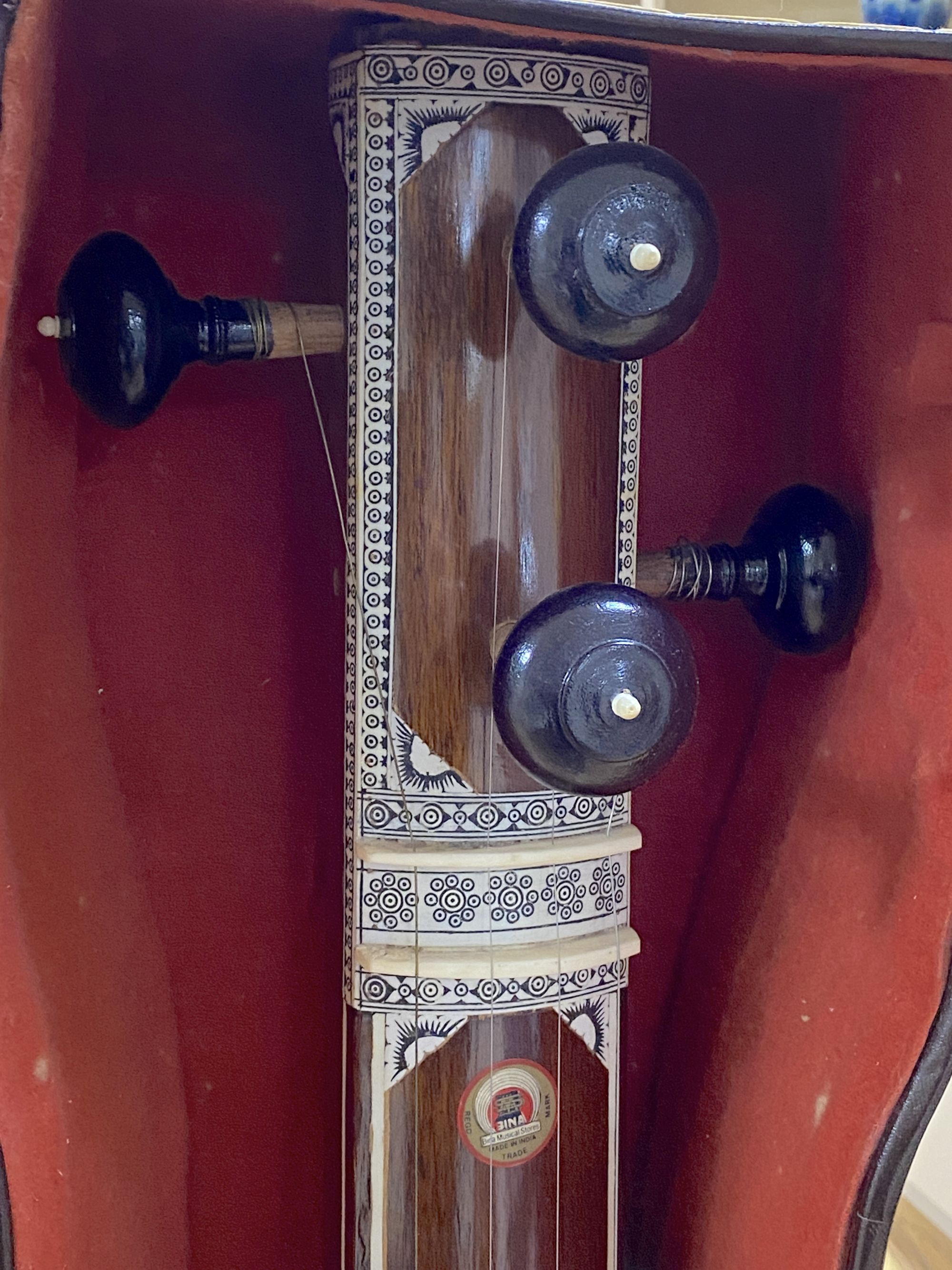 A cased Bina sitar